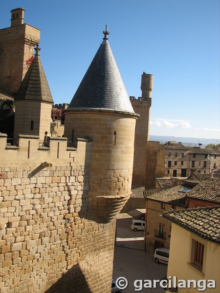 Castillo palacio de Olite