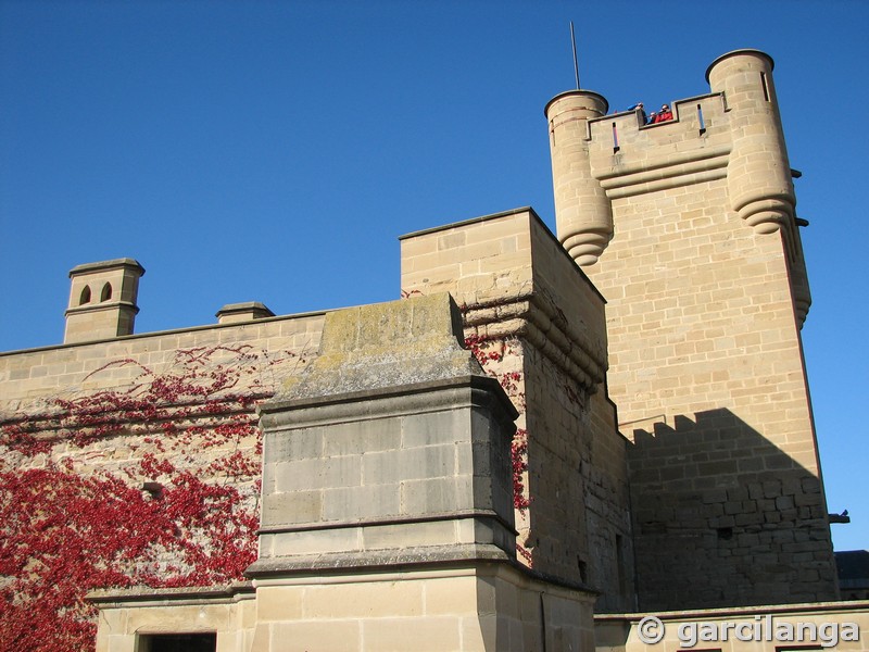 Castillo palacio de Olite