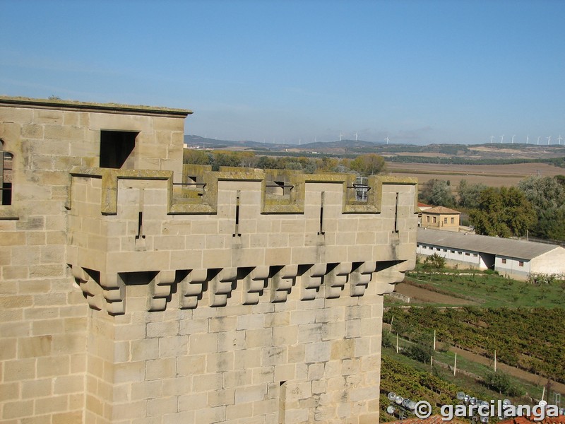 Castillo palacio de Olite