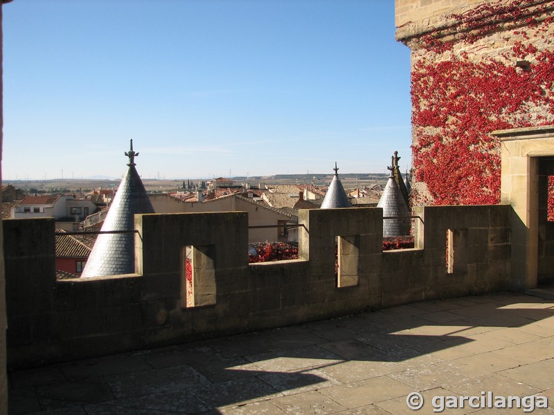 Castillo palacio de Olite