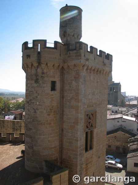 Castillo palacio de Olite