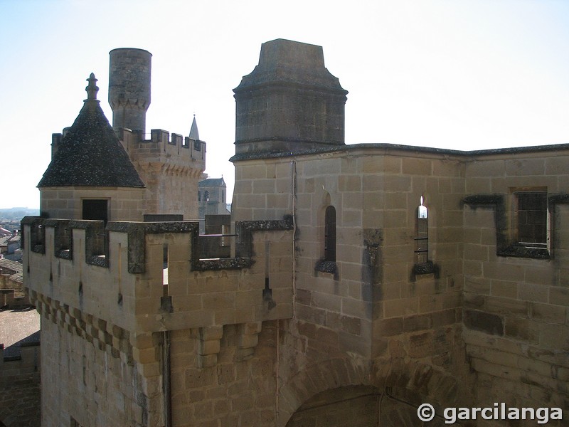 Castillo palacio de Olite