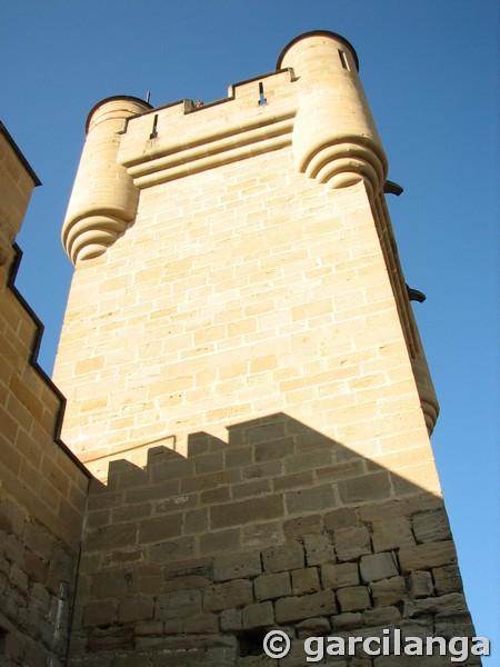 Castillo palacio de Olite