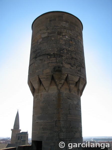 Castillo palacio de Olite