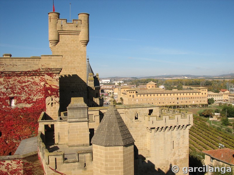 Castillo palacio de Olite