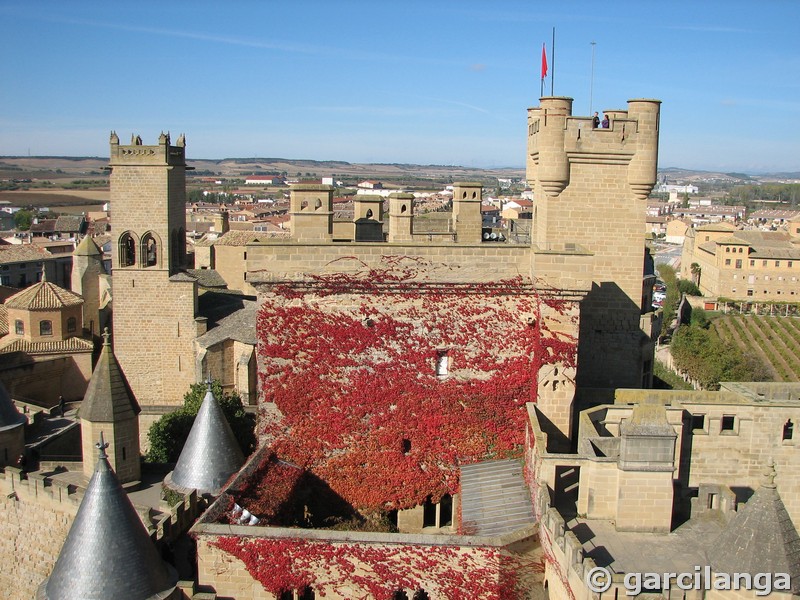 Castillo palacio de Olite