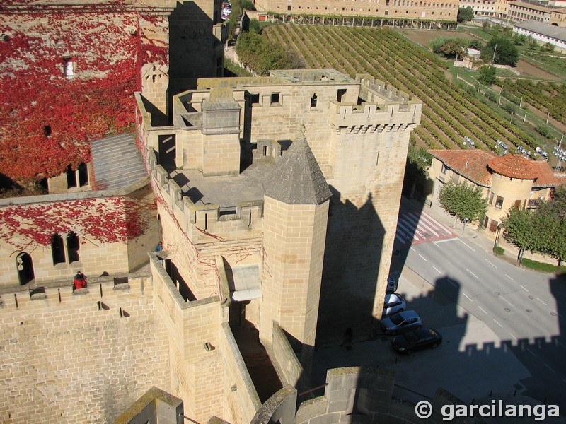 Castillo palacio de Olite