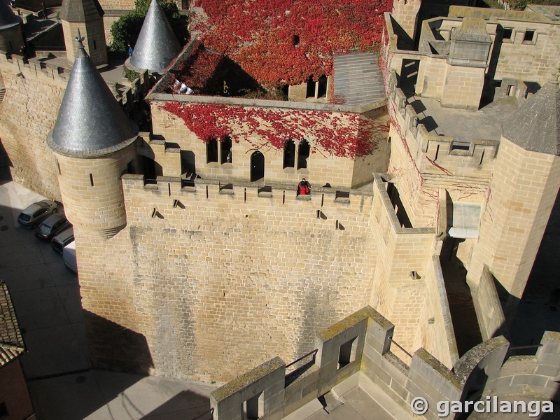 Castillo palacio de Olite