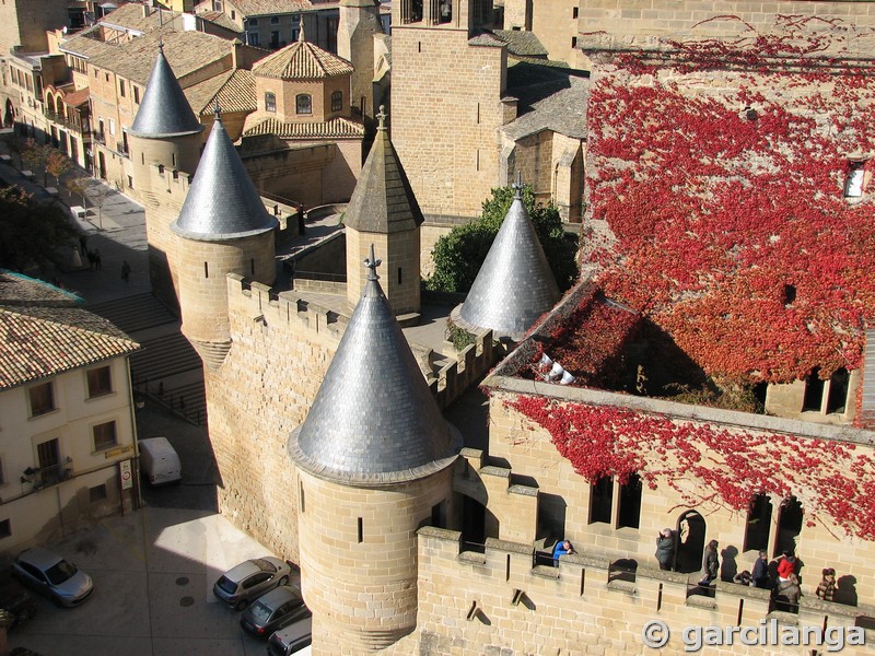 Castillo palacio de Olite