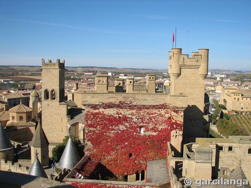 Castillo palacio de Olite