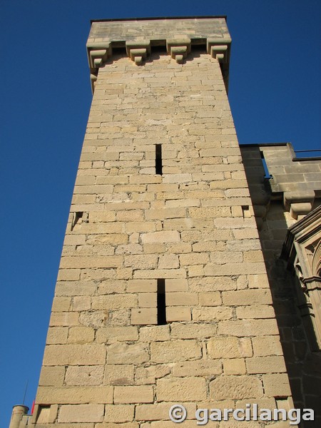 Castillo palacio de Olite