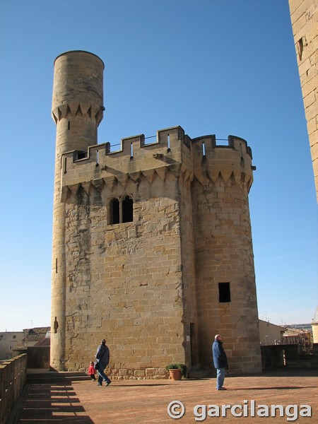 Castillo palacio de Olite