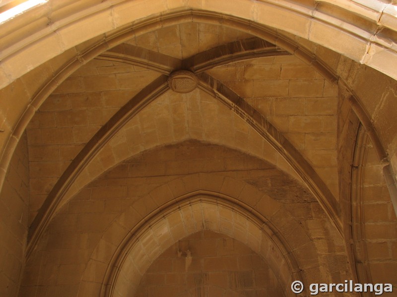 Castillo palacio de Olite