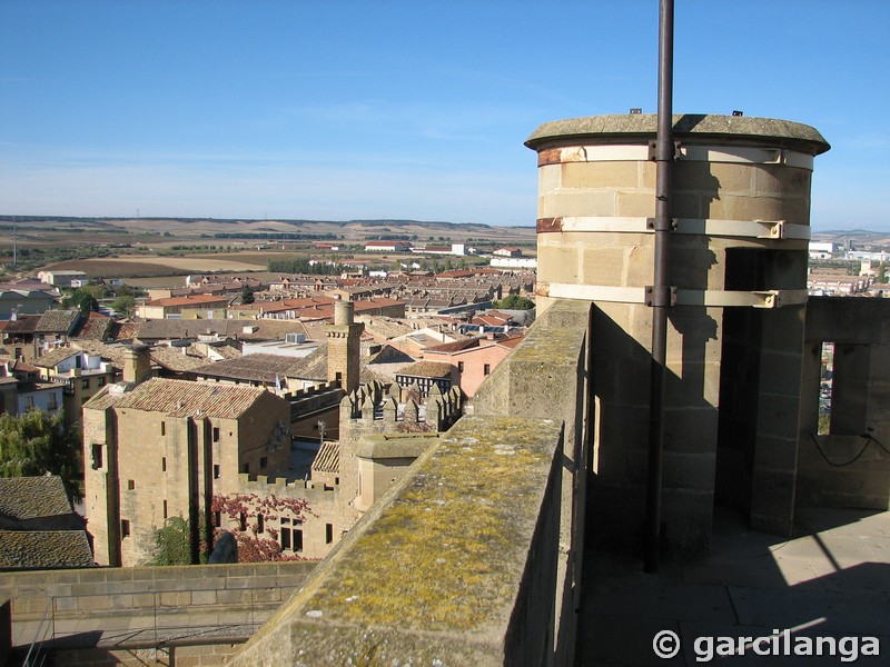 Castillo palacio de Olite