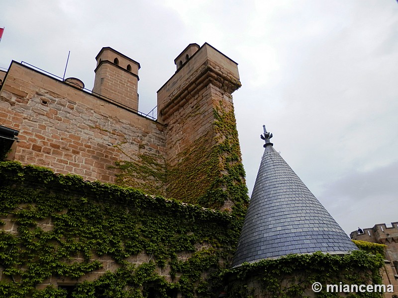 Castillo palacio de Olite