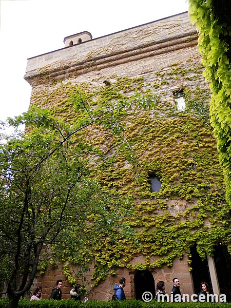 Castillo palacio de Olite