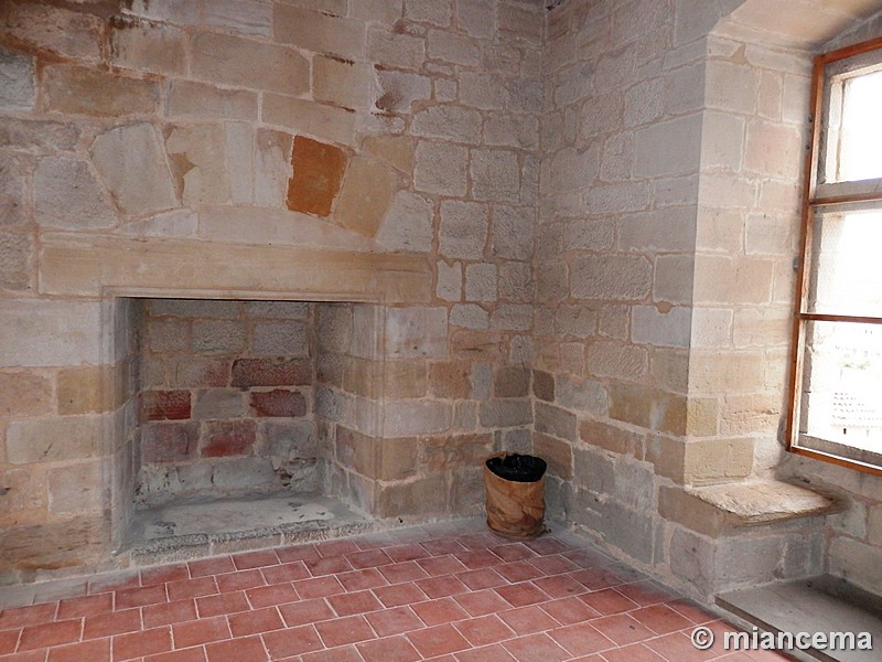 Castillo palacio de Olite