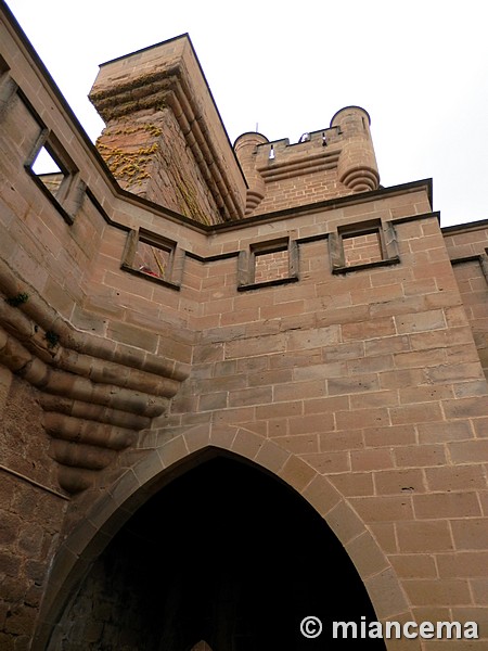 Castillo palacio de Olite