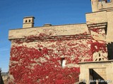 Castillo palacio de Olite