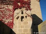 Castillo palacio de Olite