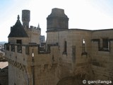 Castillo palacio de Olite