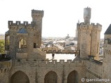 Castillo palacio de Olite