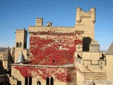 Castillo palacio de Olite