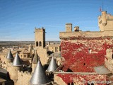 Castillo palacio de Olite