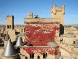 Castillo palacio de Olite