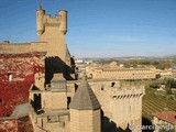 Castillo palacio de Olite