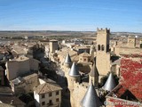 Castillo palacio de Olite