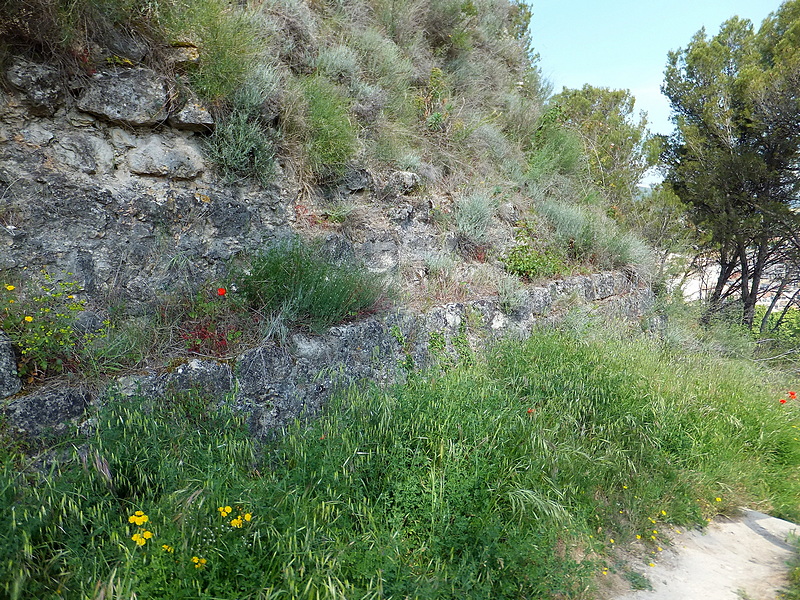 Castillo de Zalatambor