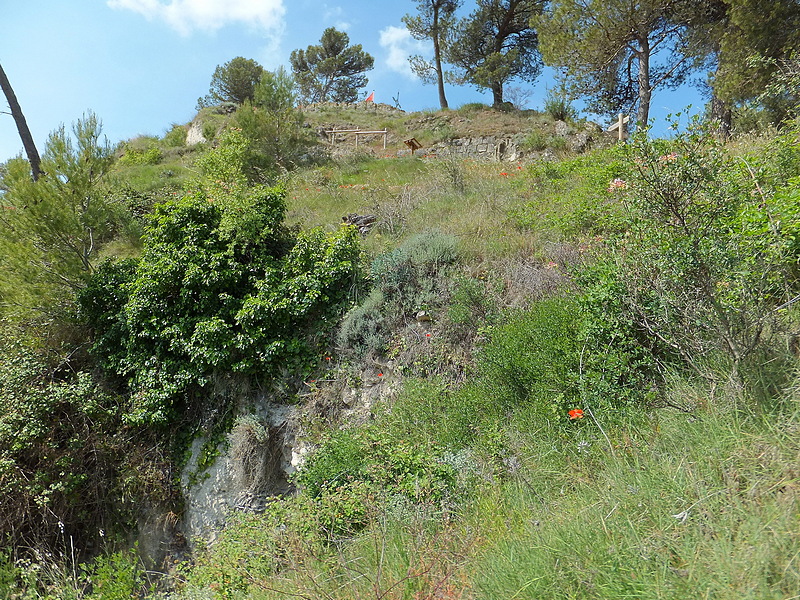 Castillo de Zalatambor