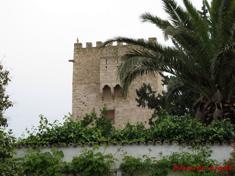 Castillo de Cortes