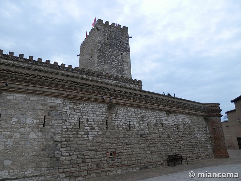 Castillo de Cortes