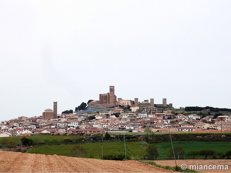 El Cerco de Artajona