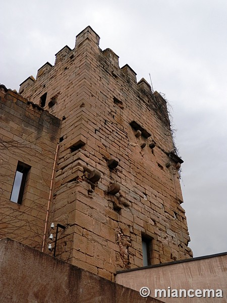 Palacio fortificado de los Teobaldos