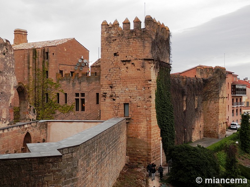 Palacio fortificado de los Teobaldos