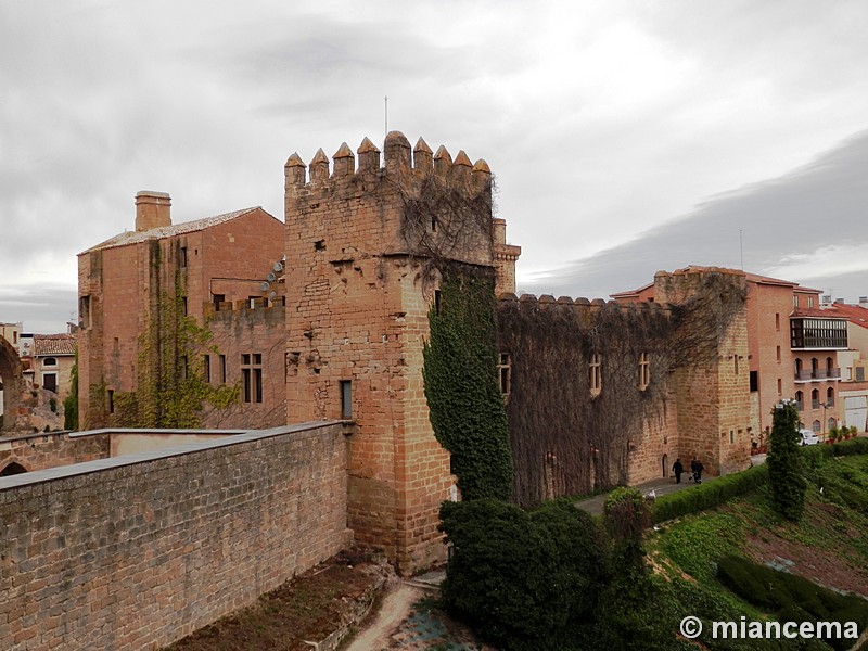 Palacio fortificado de los Teobaldos