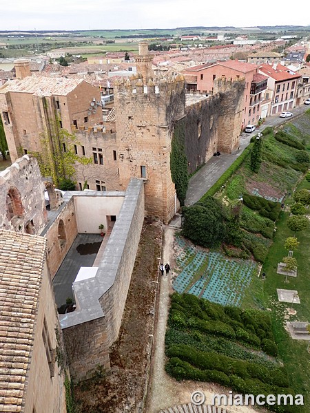 Palacio fortificado de los Teobaldos