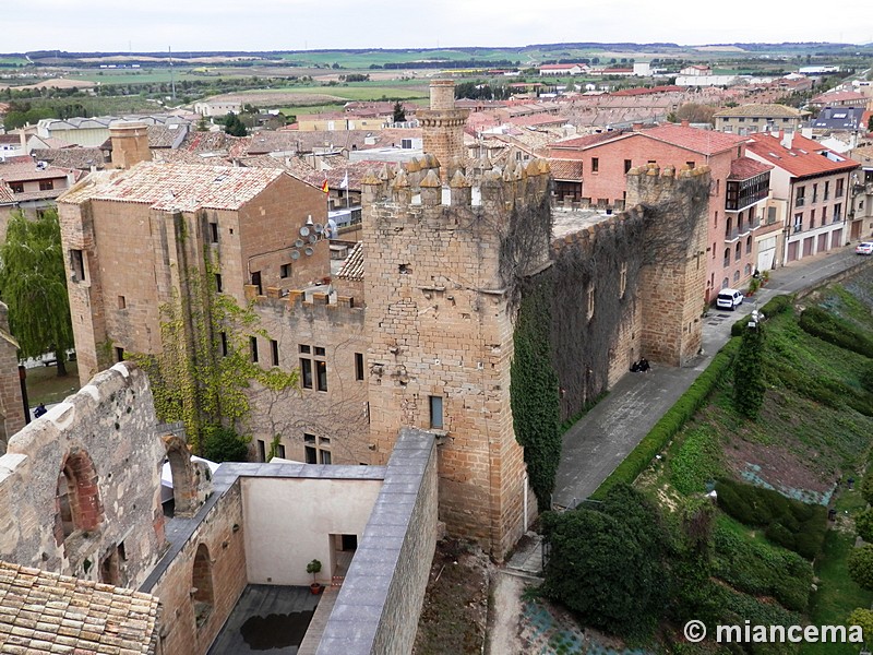 Palacio fortificado de los Teobaldos