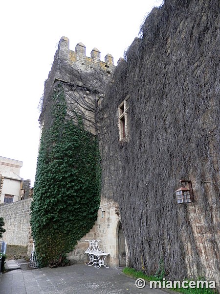 Palacio fortificado de los Teobaldos