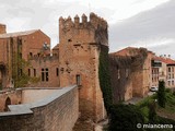 Palacio fortificado de los Teobaldos