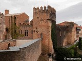 Palacio fortificado de los Teobaldos