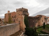 Palacio fortificado de los Teobaldos