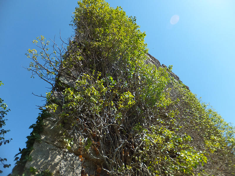 Torre de Mendinueta