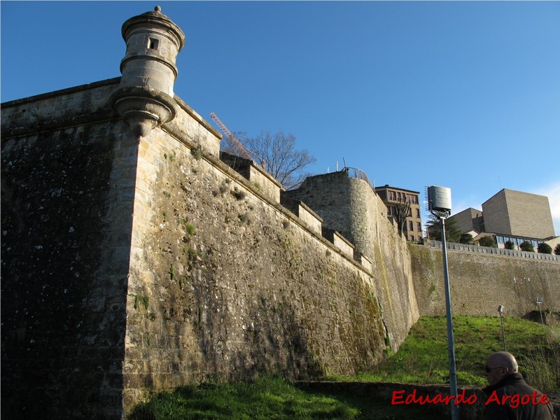 Muralla abaluartada de Pamplona