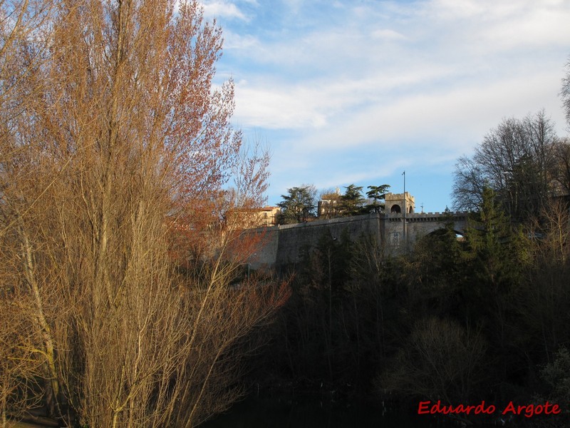 Muralla abaluartada de Pamplona