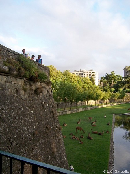 Muralla abaluartada de Pamplona