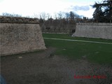 Muralla abaluartada de Pamplona